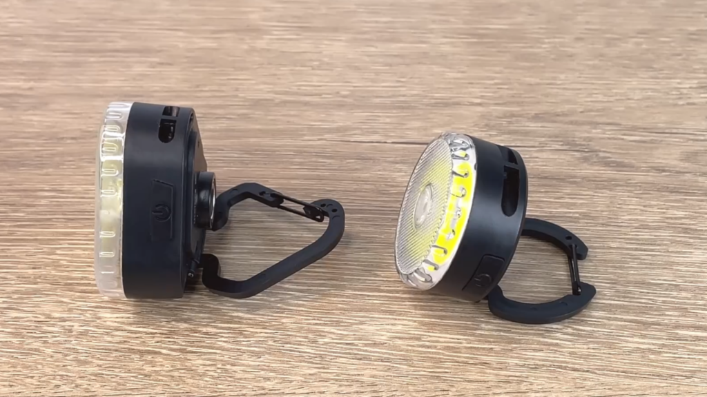 形状の違いなどを比較